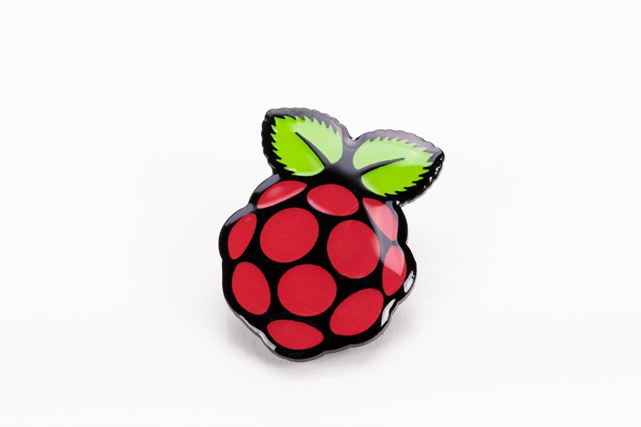 Raspberry Pi PIN
