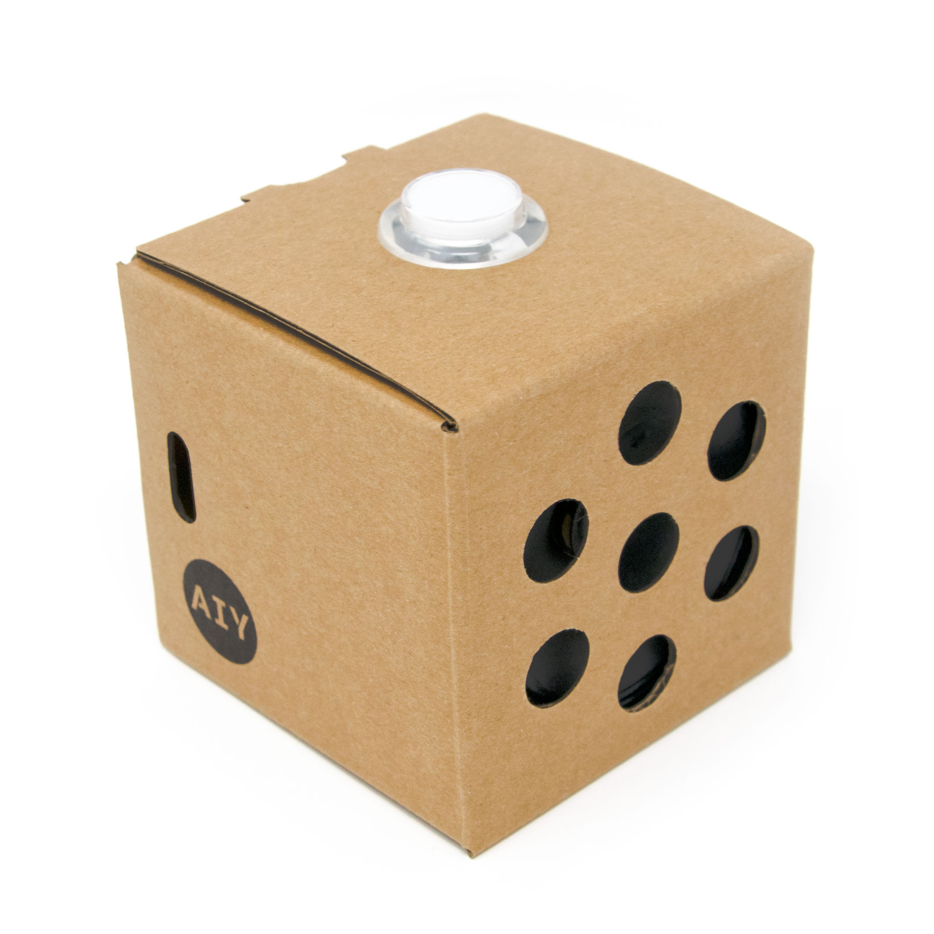 aiy-voice-assembled_cropped_square
